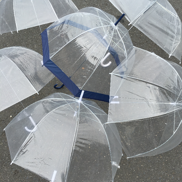 UMBRELLA, Clear